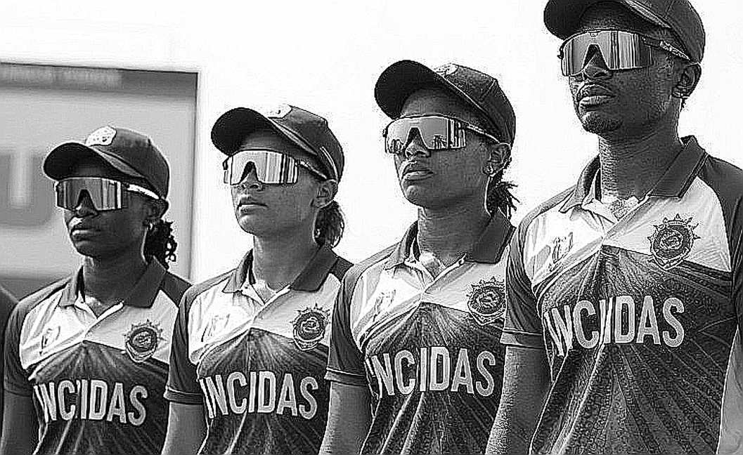 डार्सी ब्राउन का WBBL 2026 से बाहर होना: 3/39 का बही-खाता और वो लोड-मैनेजमेंट खाई जिसकी रिपोर्ट किसी ने नहीं लिखी