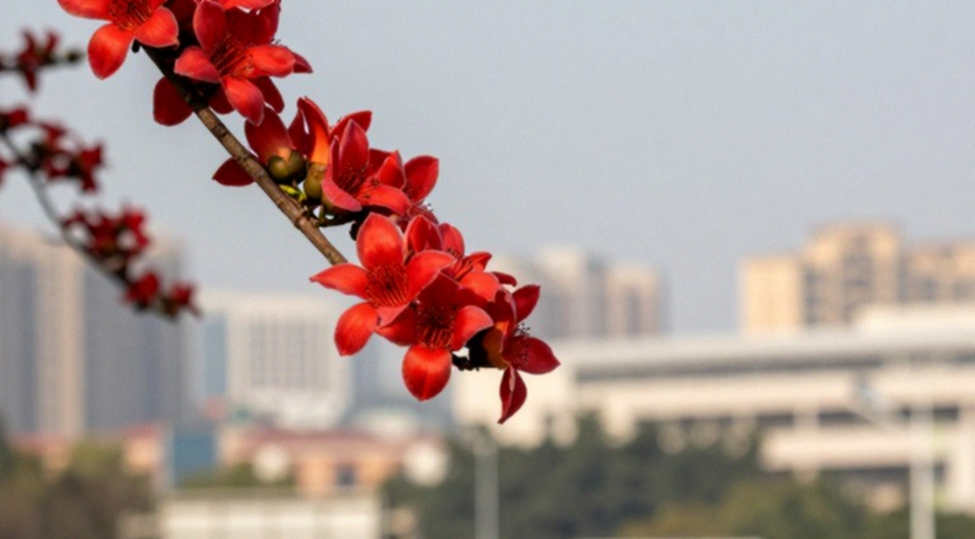 अर्शद नदीम का 92.97 मीटर और 'नई शुरुआत' की सलाह: एक कोच का निदान, अधूरा मेडिकल रिकॉर्ड और प्रोवेनेंस का संकट